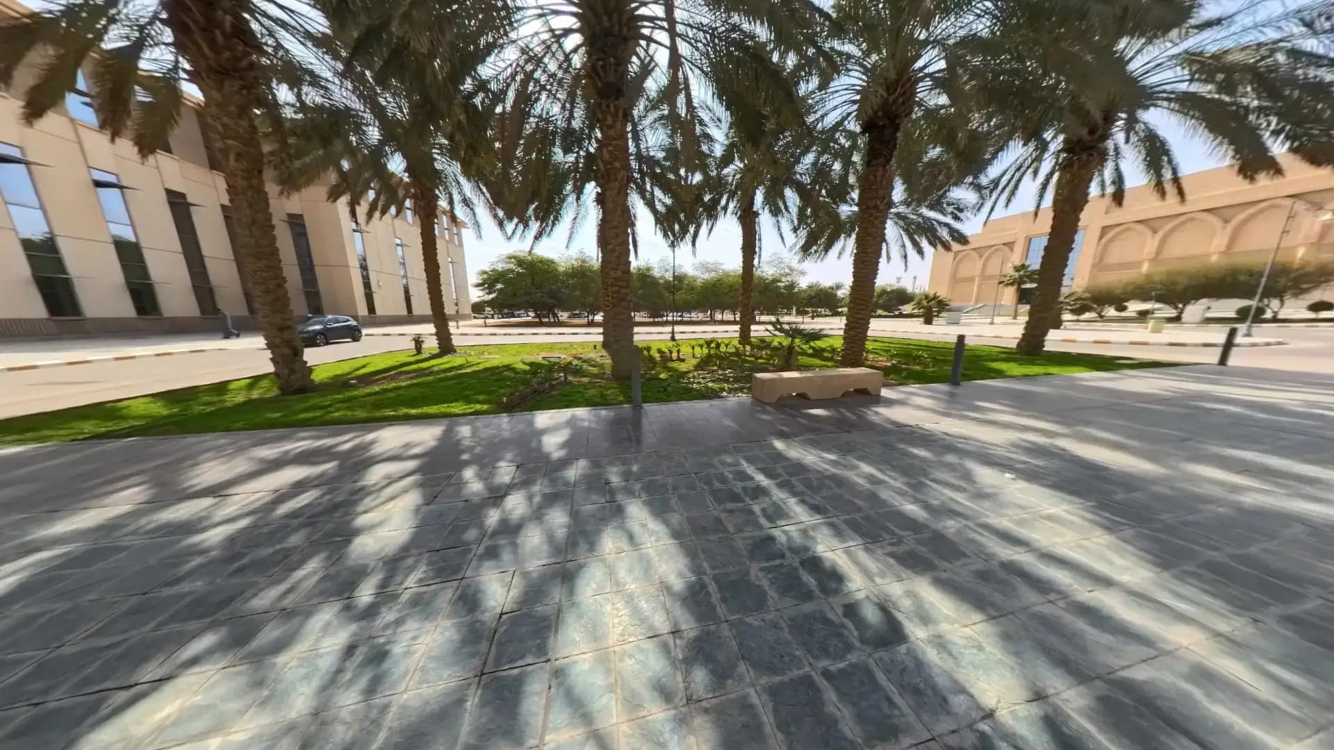 جامعة الملك سعود gallery image 4