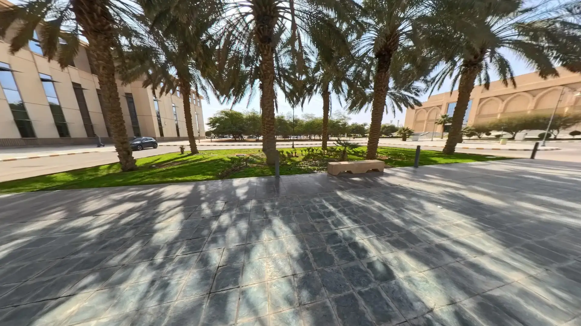 جامعة الملك سعود gallery image 3
